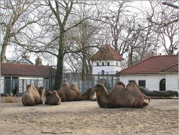 klik op een foto om te vergroten