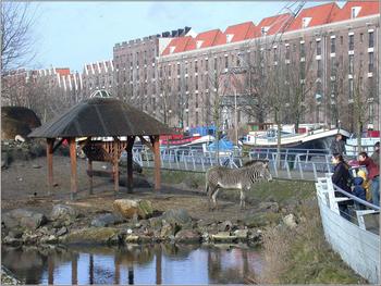 klik op een foto om te vergroten
